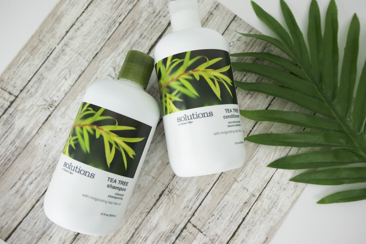 HairHacks-TeaTree.jpg